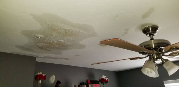 A residential ceiling showing severe water damage with bubbling, discoloration, and stains, likely caused by a leak. The affected area highlights the urgency for repairs to prevent further structural issues. Ideal for illustrating water damage restoration, home repair services, or property maintenance needs.